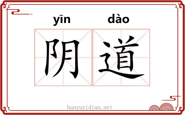 阴道