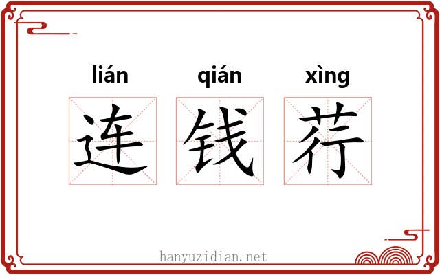 连钱荇