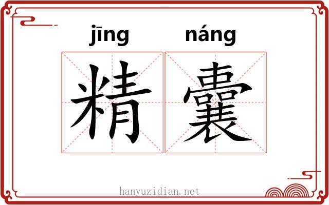 精囊