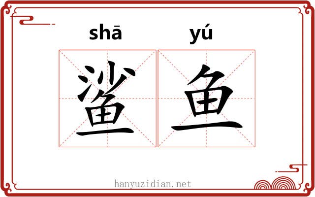 鲨鱼