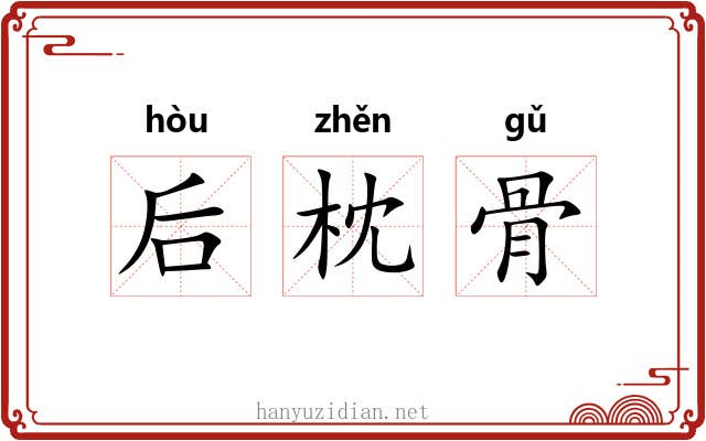 后枕骨 后枕骨