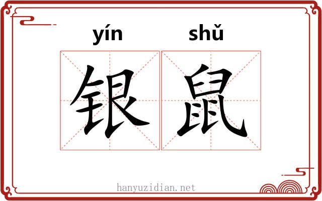 银鼠 银鼠
