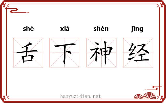 舌下神经 舌下神经