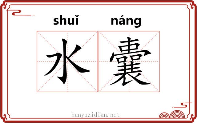 水囊 水囊