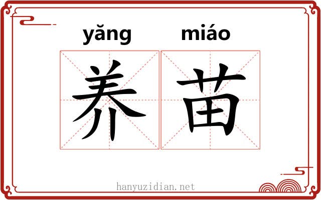 养苗 养苗
