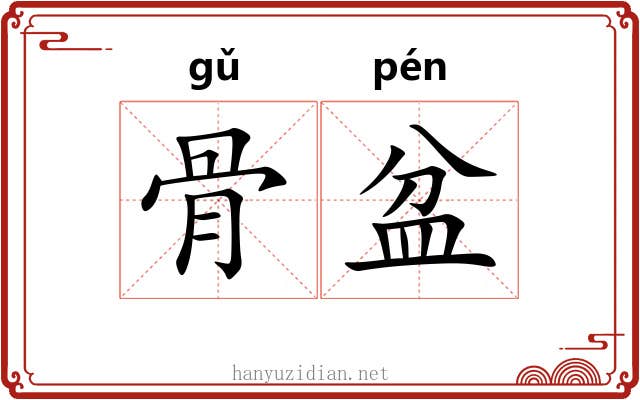 骨盆 骨盆