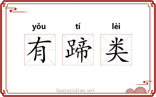 有蹄类