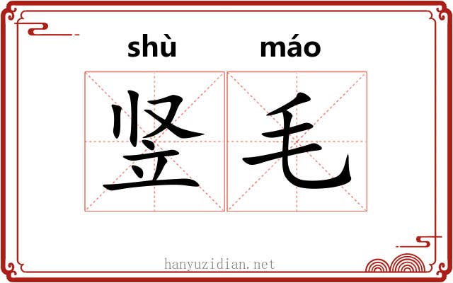 竖毛