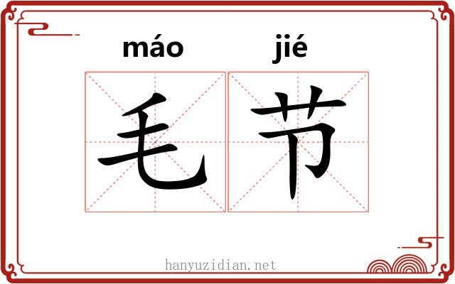 毛节