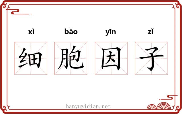 细胞因子 细胞因子