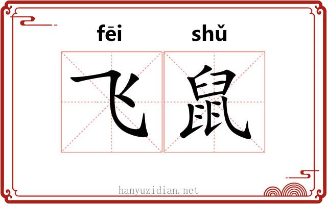 飞鼠 飞鼠