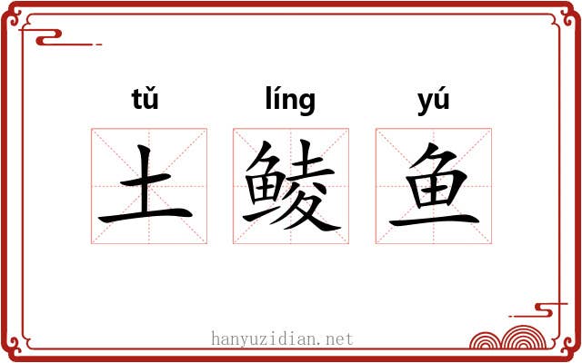 土鲮鱼 土鲮鱼