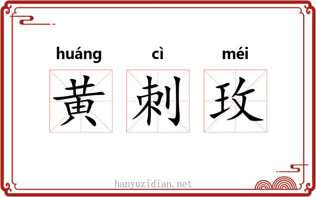 黄刺玫 黄刺玫