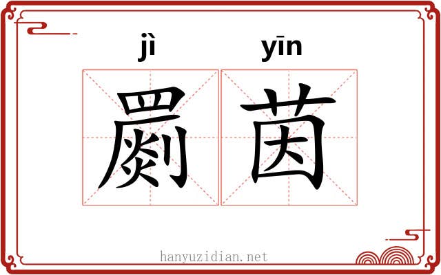 罽茵