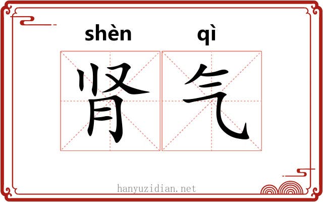 肾气