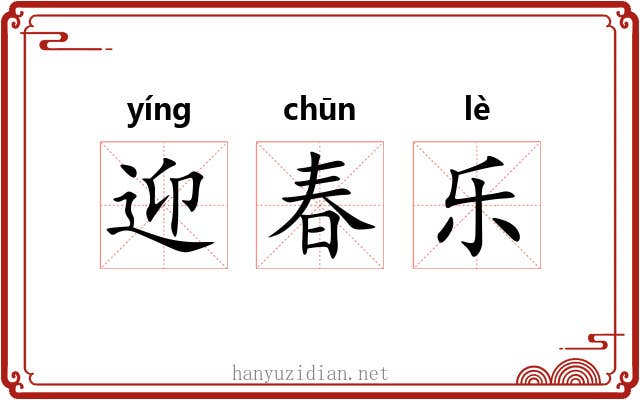 迎春乐 迎春乐