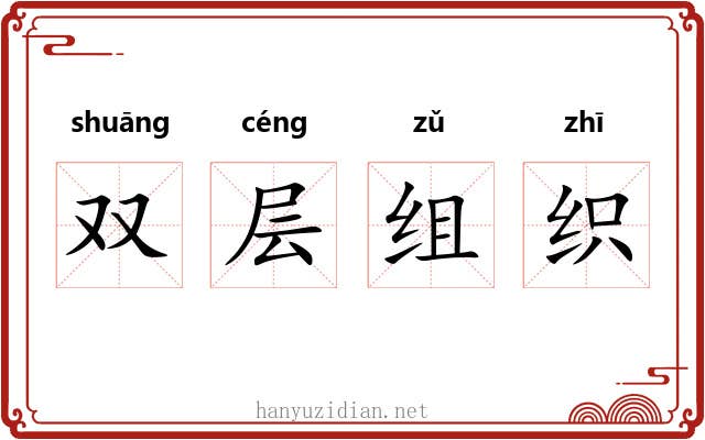 双层组织