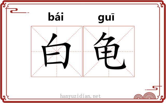 白龟 白龟