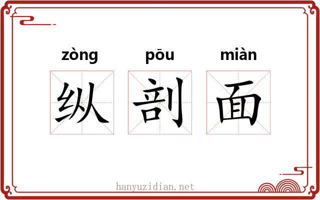 纵剖面