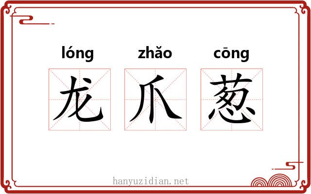 龙爪葱 龙爪葱