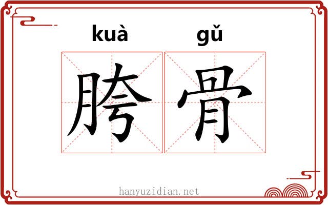 胯骨 胯骨
