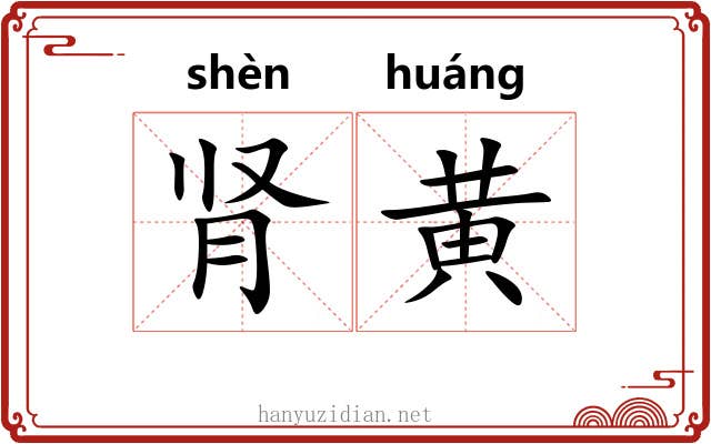 肾黄