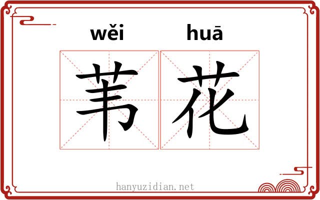 苇花 苇花