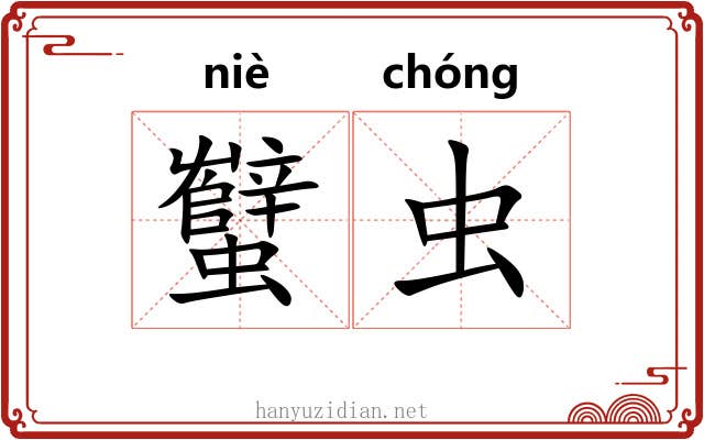 蠥虫