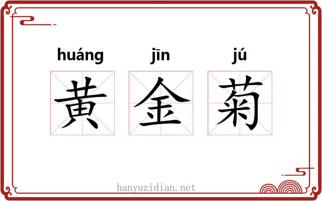 黄金菊