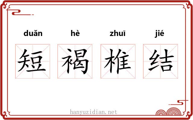 短褐椎结 短褐椎结