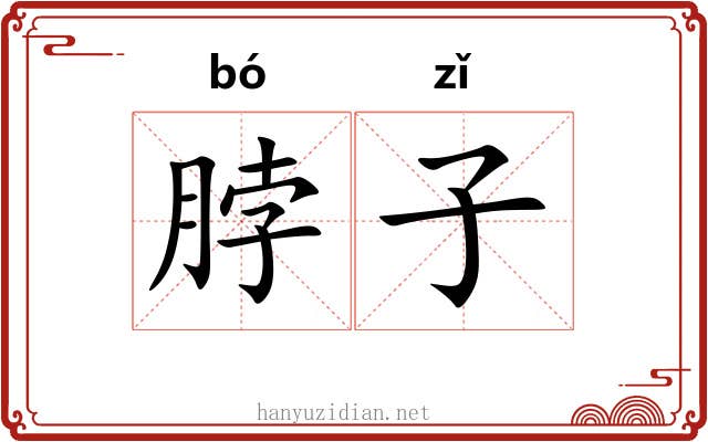 脖子