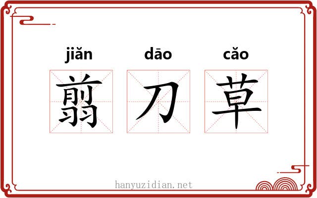 翦刀草