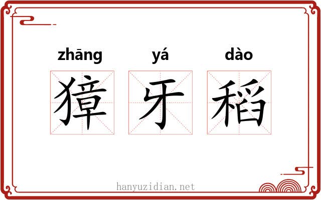 獐牙稻 獐牙稻