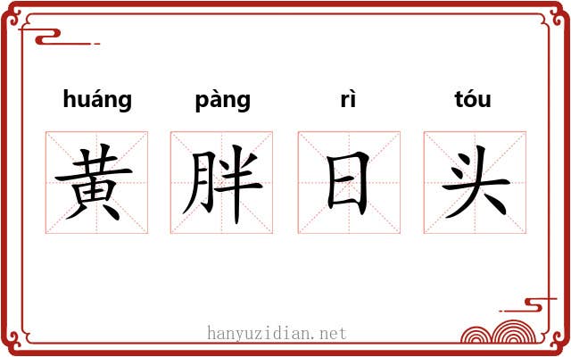 黄胖日头