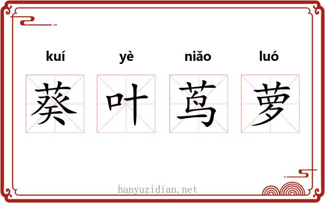 葵叶茑萝 葵叶茑萝
