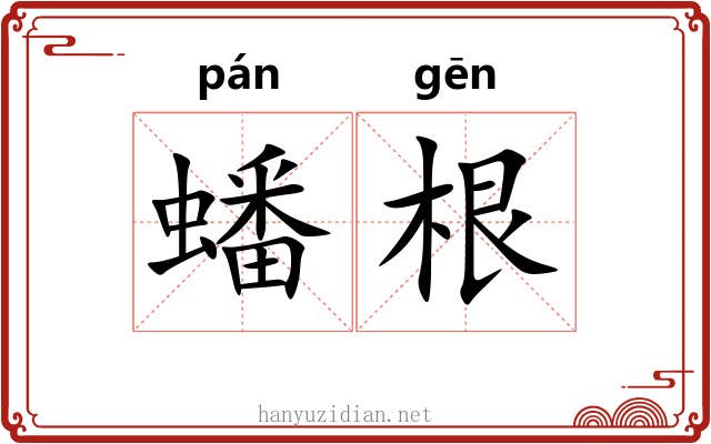 蟠根 蟠根