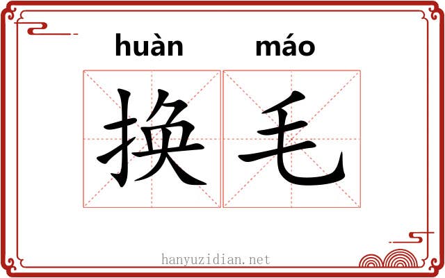 换毛 换毛