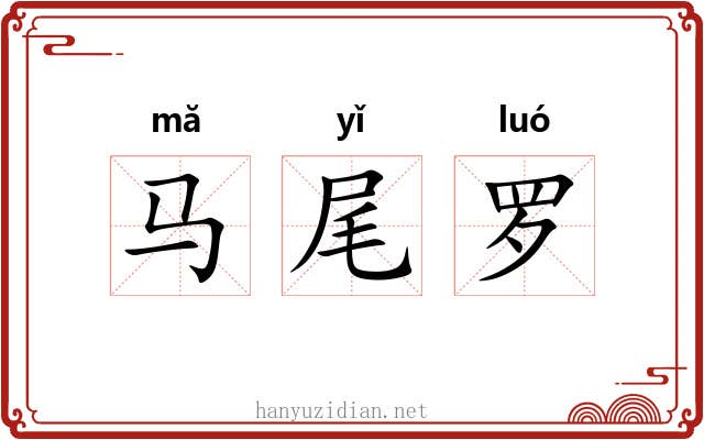 马尾罗