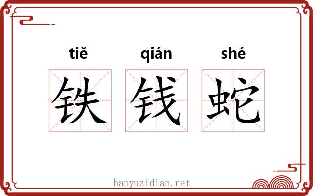 铁钱蛇