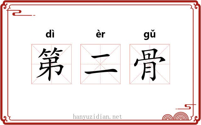 第二骨 第二骨