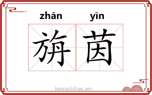 旃茵