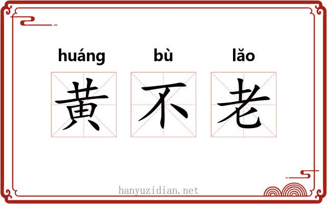 黄不老 黄不老