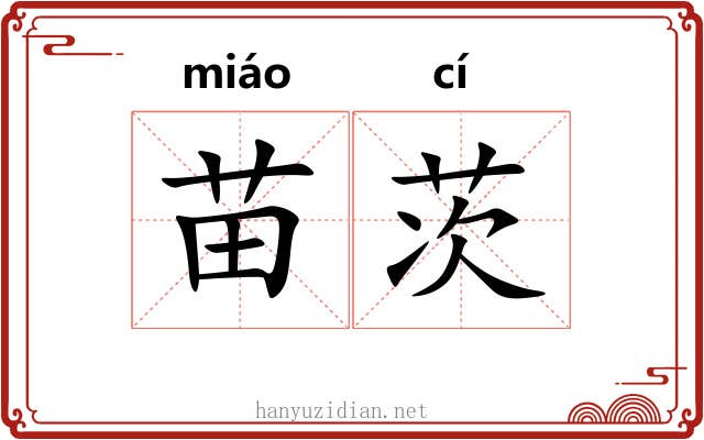 苗茨