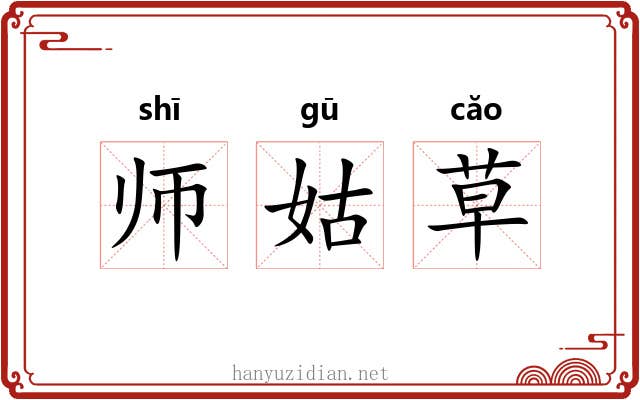 师姑草 师姑草