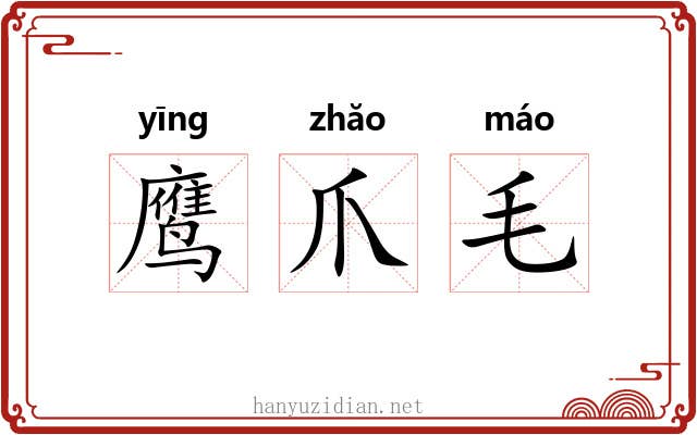 鹰爪毛 鹰爪毛