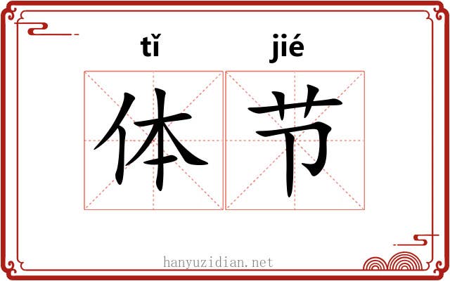 体节