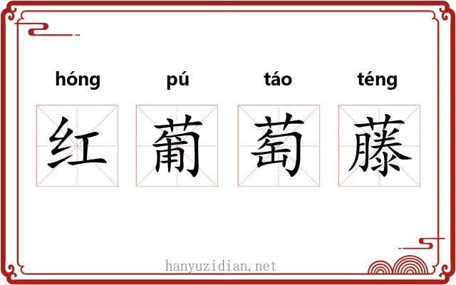 红葡萄藤 红葡萄藤