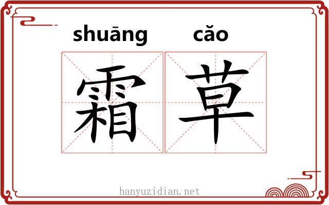 霜草 霜草