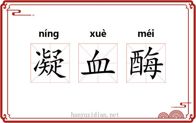 凝血酶 凝血酶