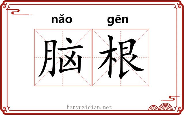 脑根 脑根